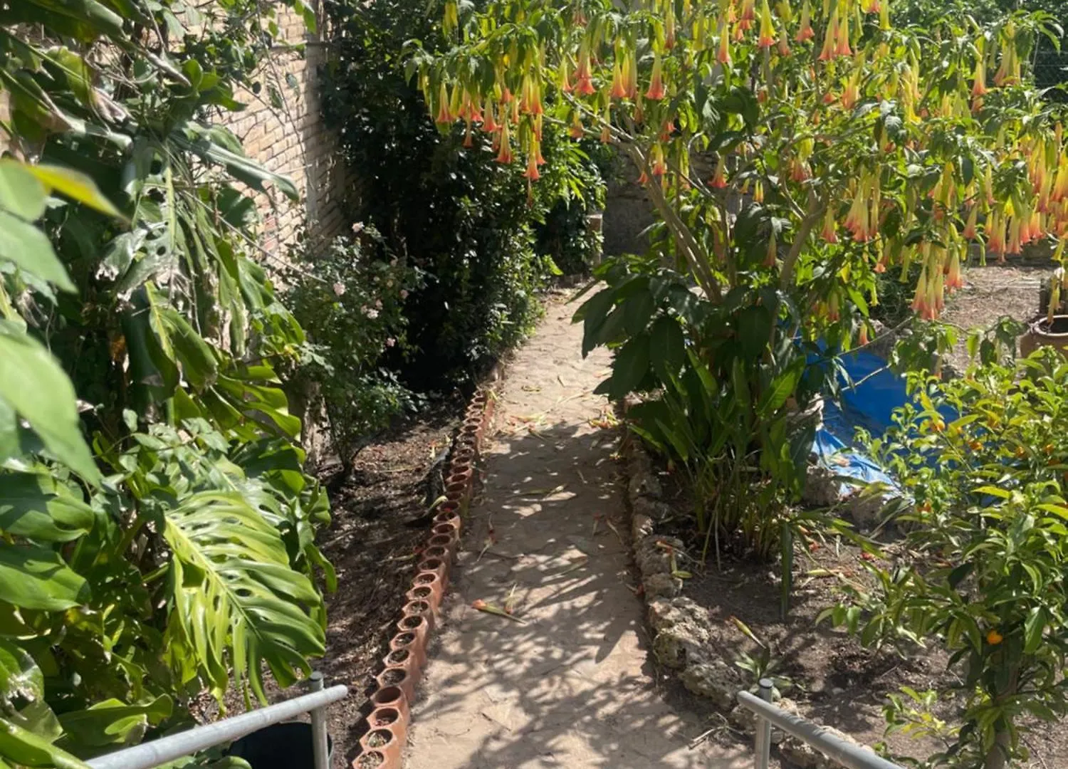 Penzion Lo Jardi De Benifallet